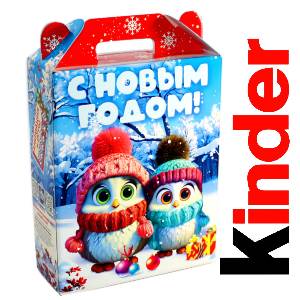 Детский подарок на Новый Год в жестяной упаковке весом 830 грамм по цене 3297 руб в Чегеме
